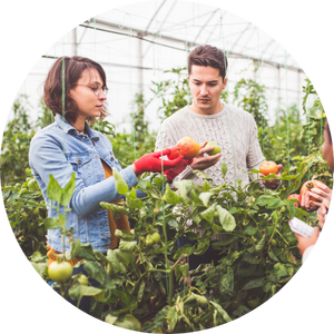 Couple in greenhouse