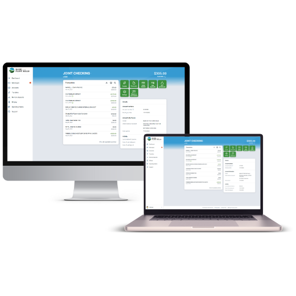 Online Banking on the computer